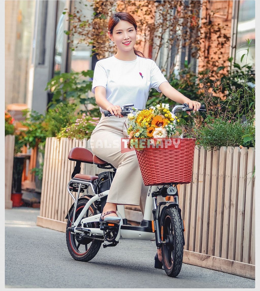 HIMO C16 Electric Bicycle