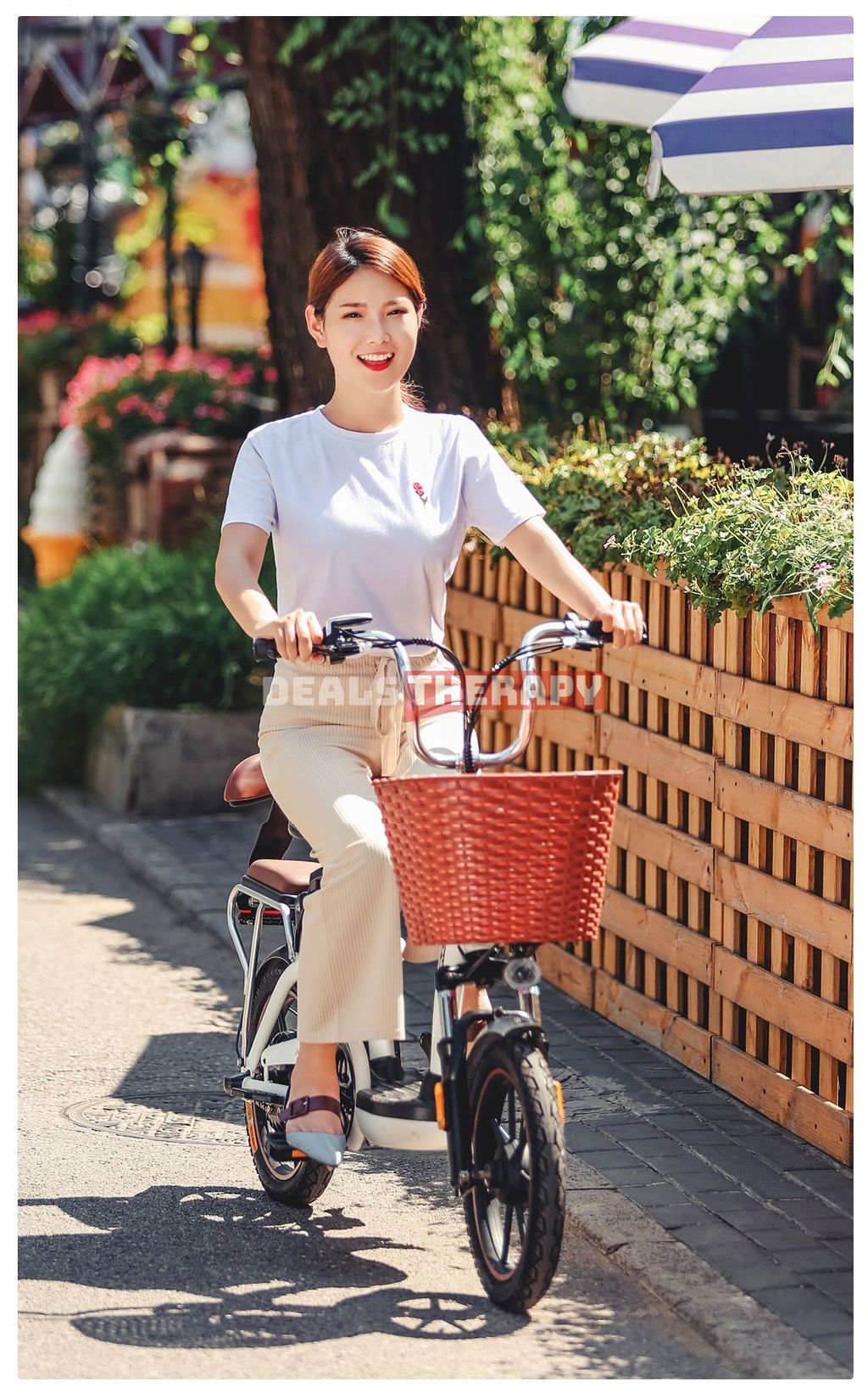 HIMO C16 Electric Bicycle