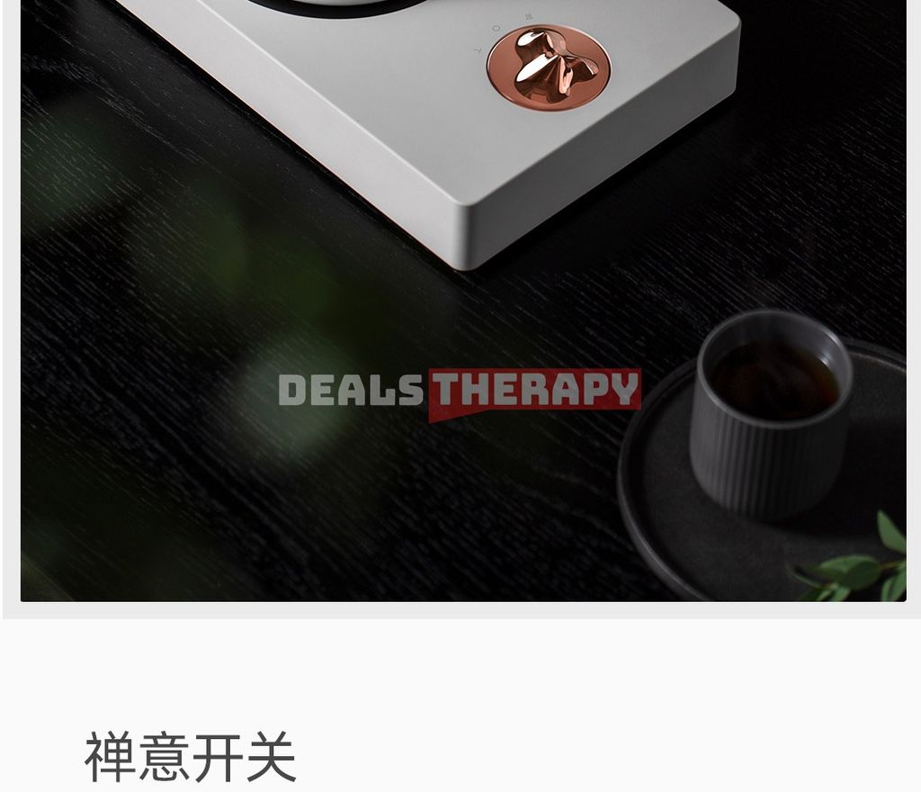 Sanjie Guanshan Electric Ceramic Tea Stove