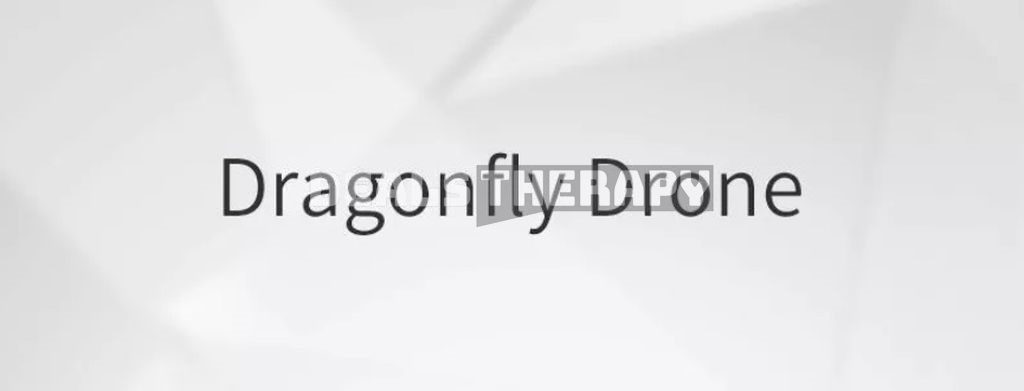 Dragonfly KK13