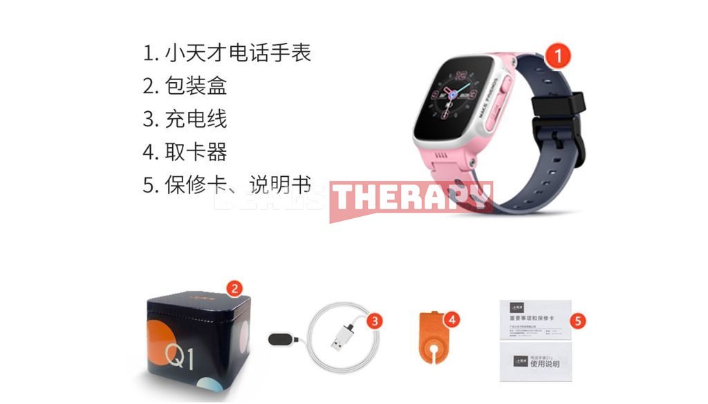 Little Genius SmartWatch Q1