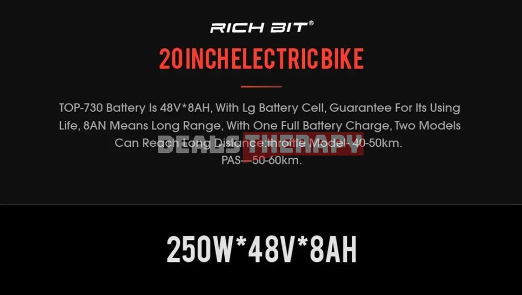 RICH BIT TOP 730