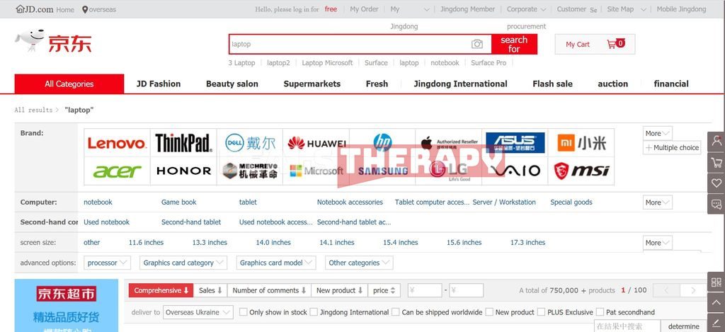 Online Shopping Guide JDcom How to shop in this online store