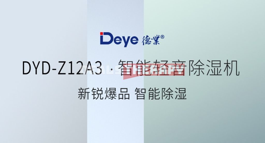 Deye DYD Z12A3