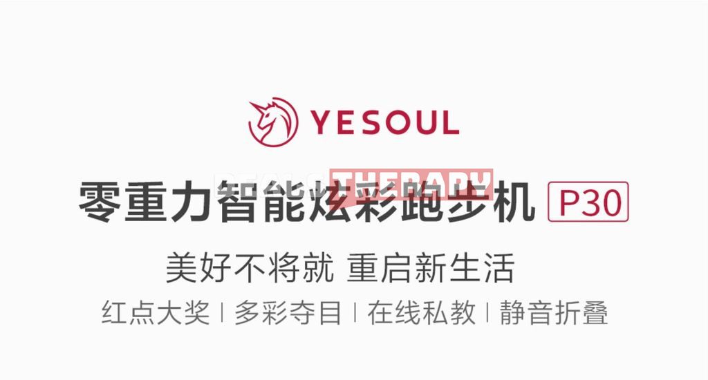 Xiaomi YESOUL P30