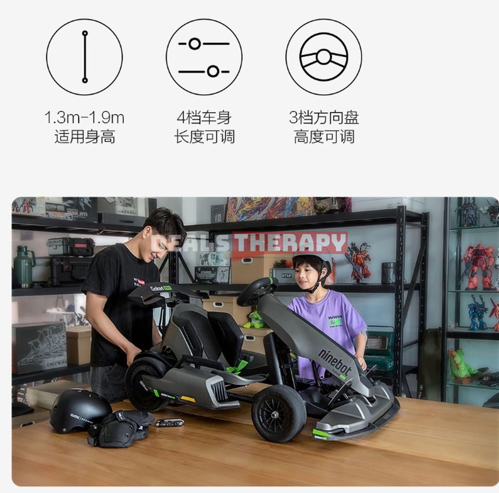 Ninebot Gokart Pro