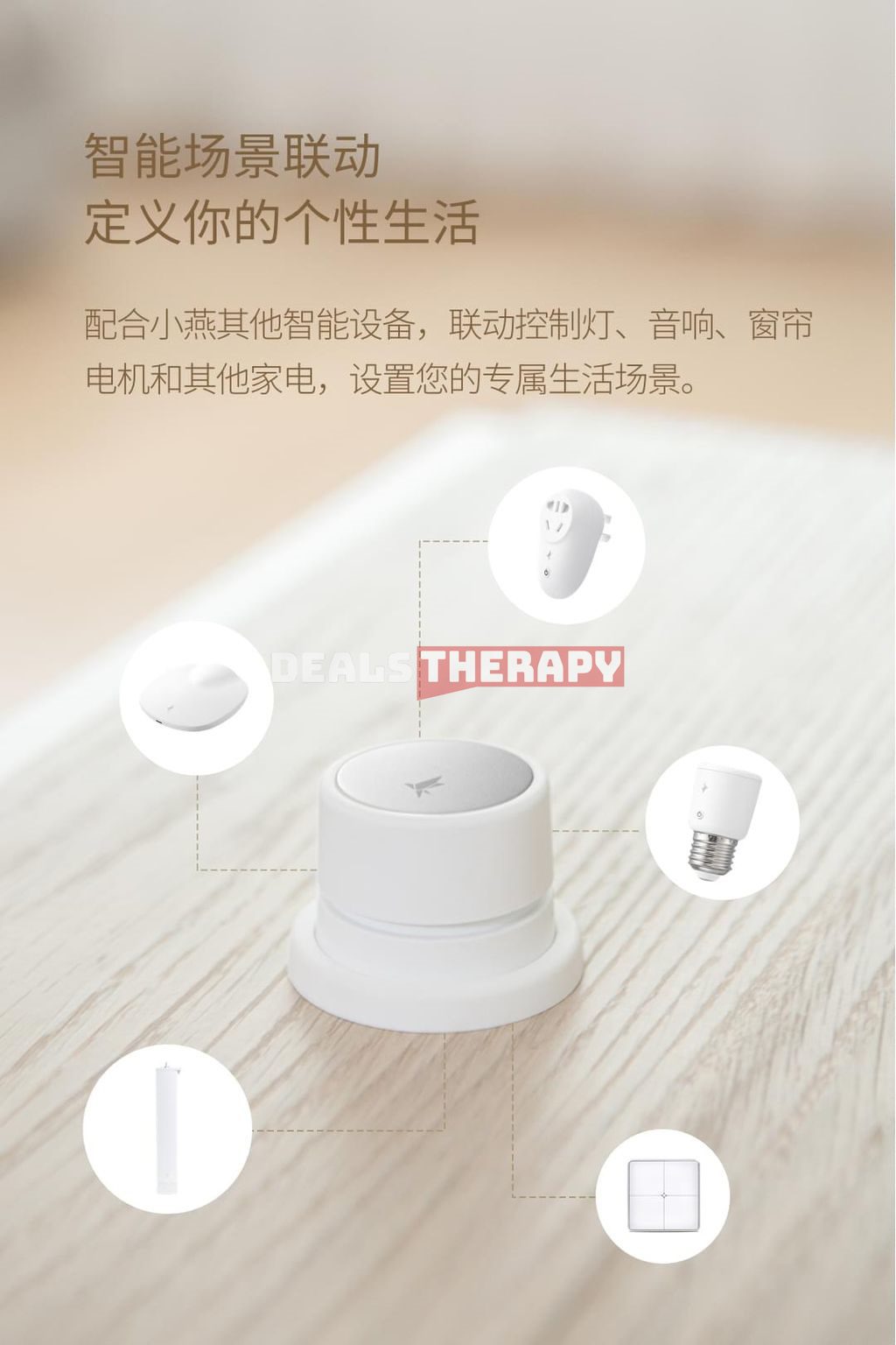Terncy SD01