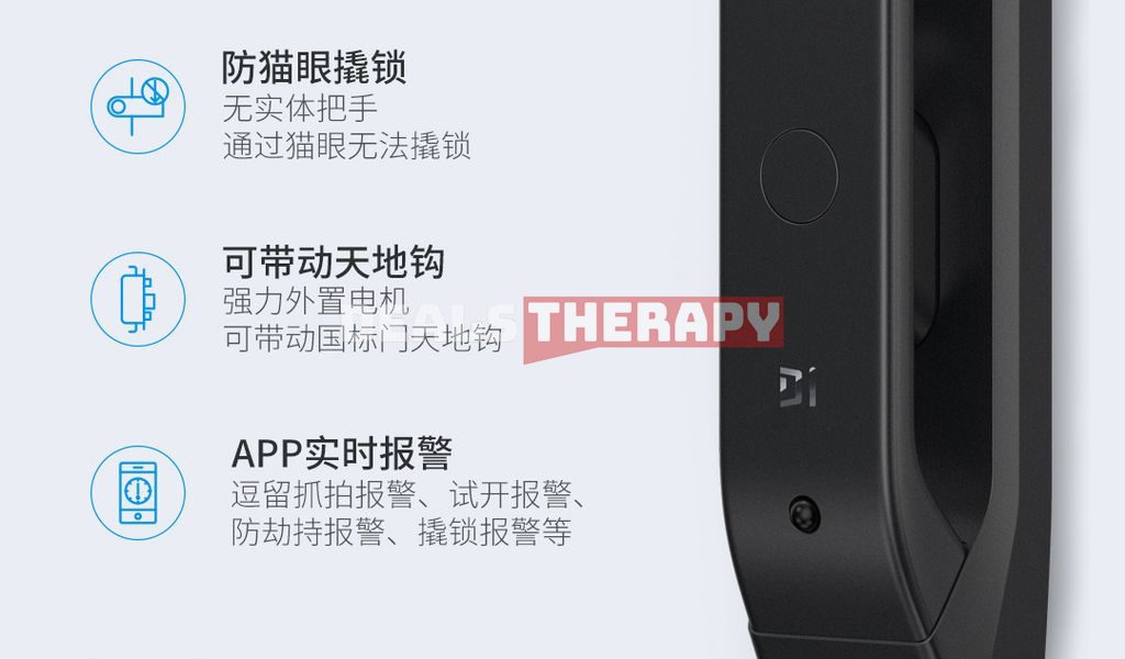 Xiaomi XiaoDi Q3M