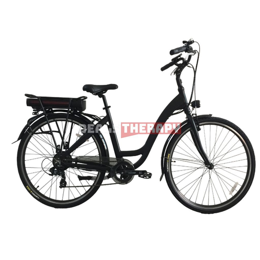 STEED SD 009