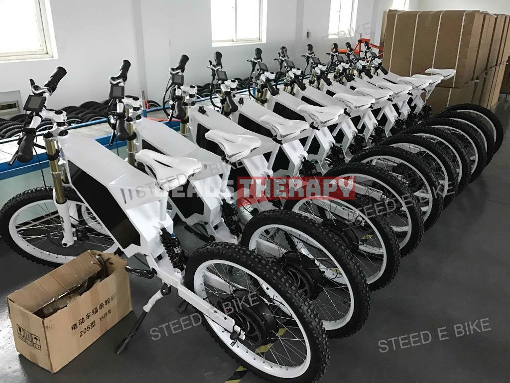 STEED SD 010