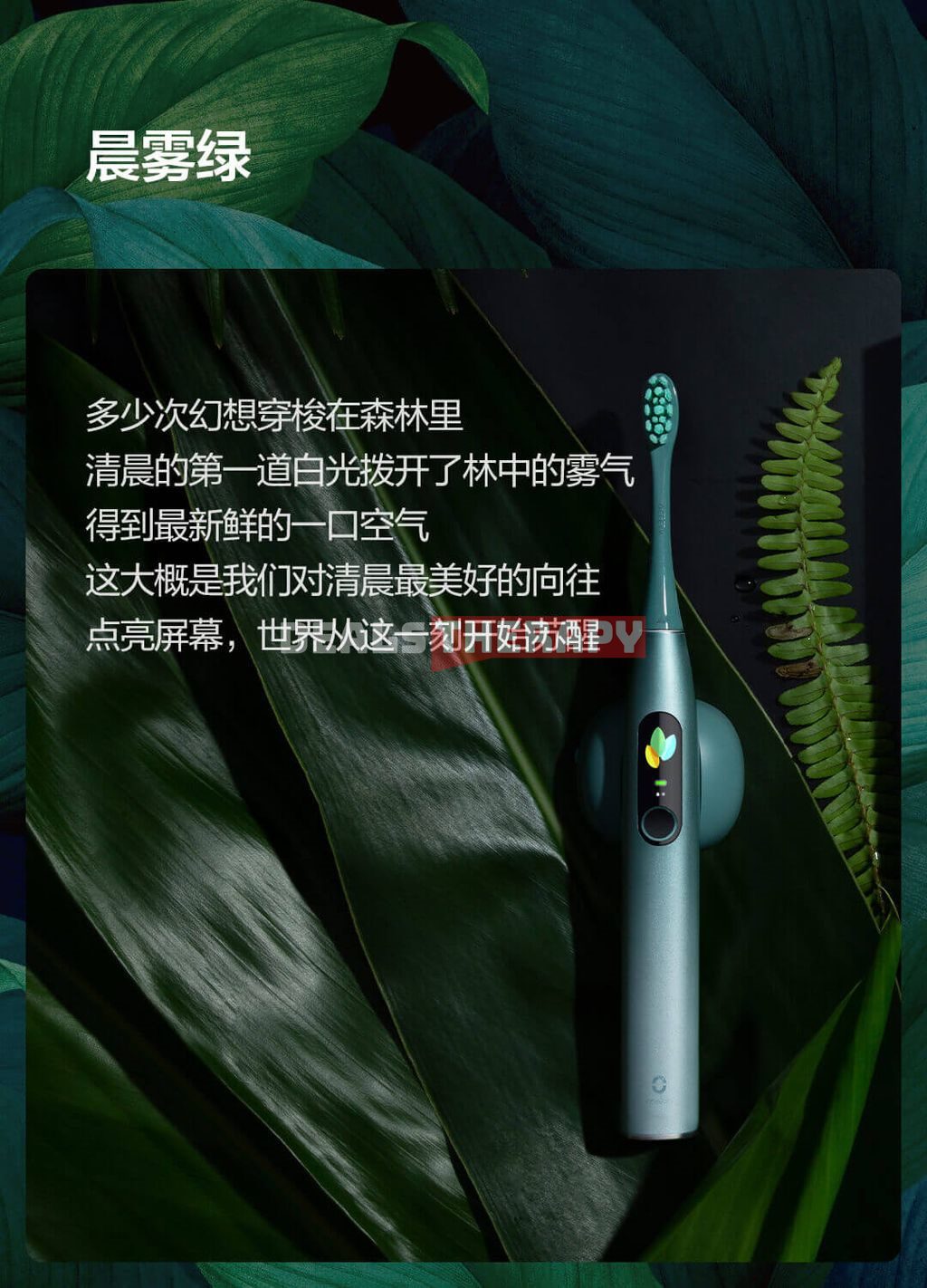 Xiaomi Oclean X Nature