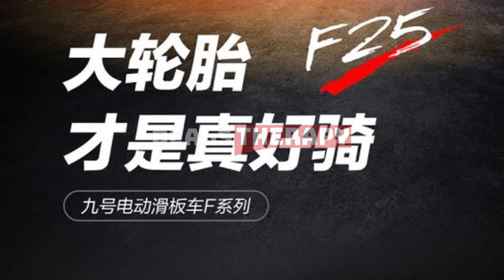 Ninebot F25