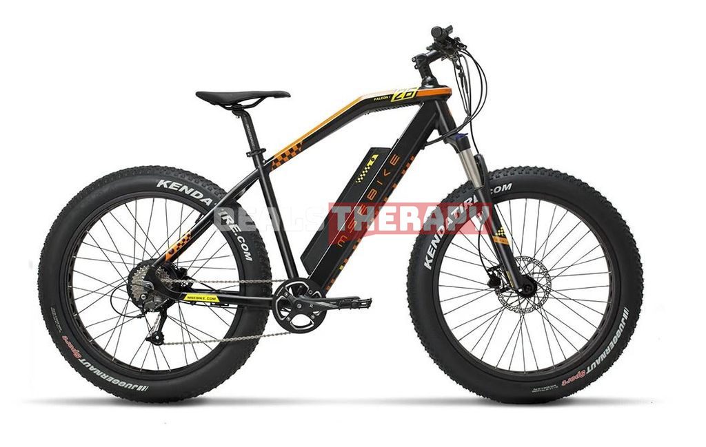 MSEBIKE FALCON1