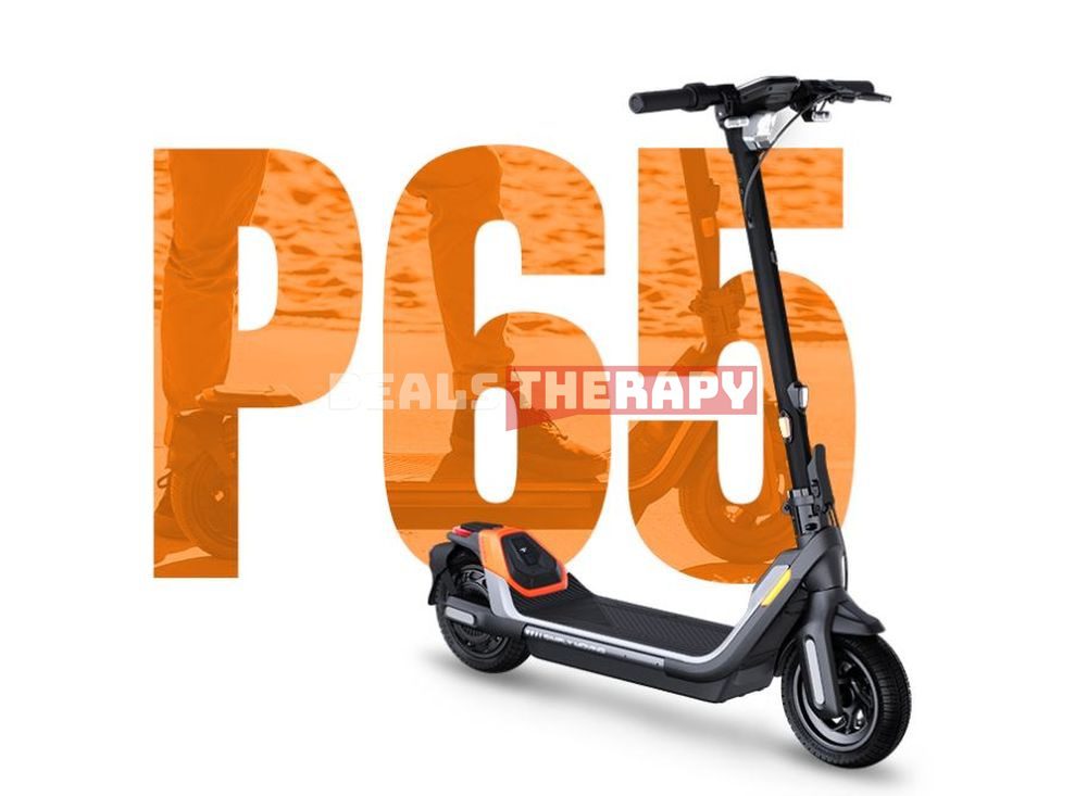 Segway KickScooter P65