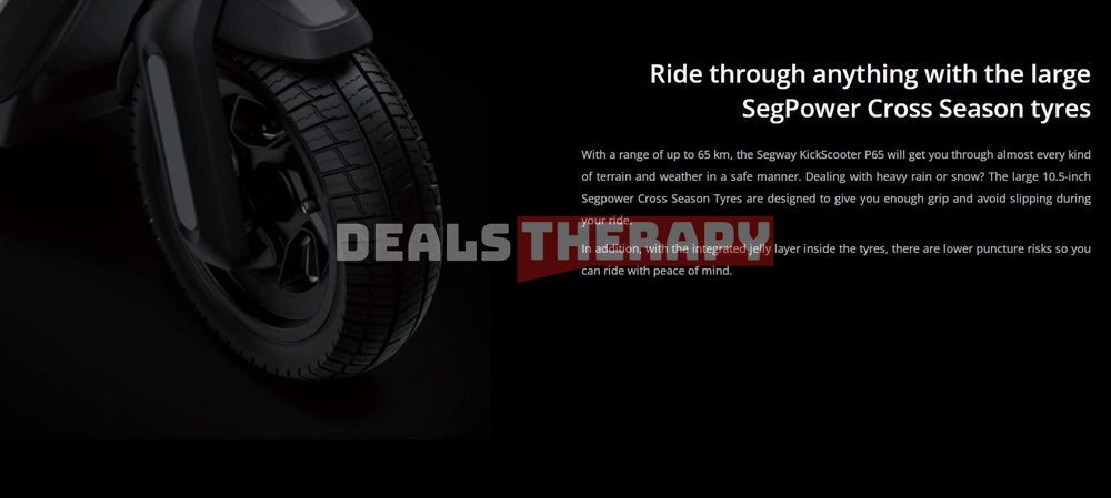 Segway KickScooter P65