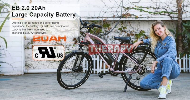 Addmotor E 43