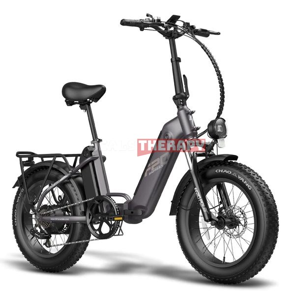 Fafrees FF20 Polar Folding Electrci bike - Aliexpress