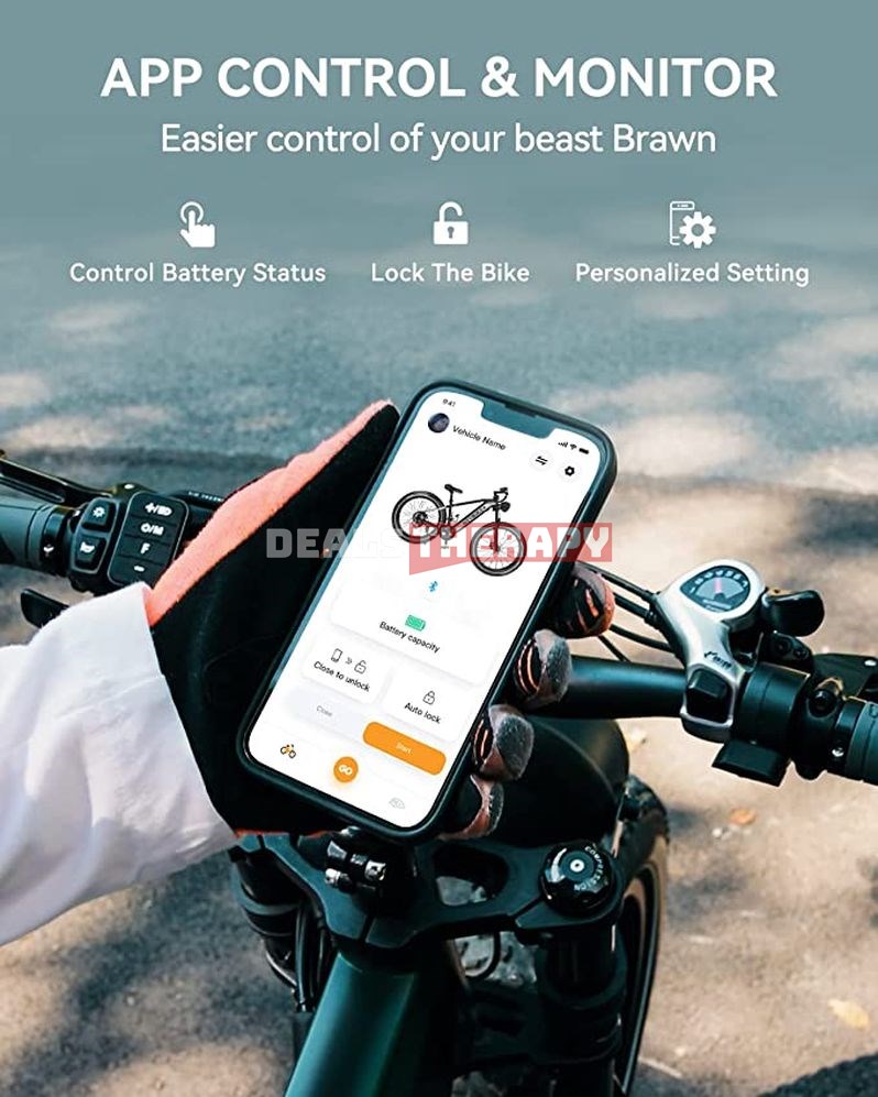 Heybike Brawn
