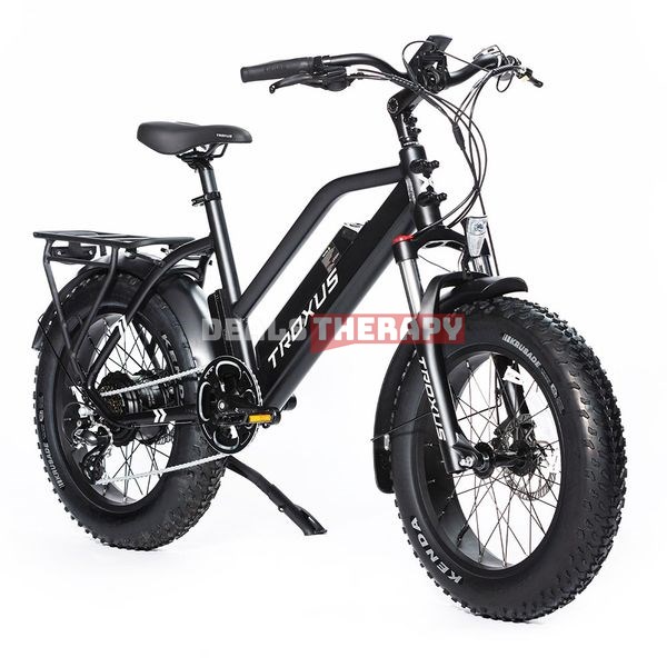 TROXUS SkyHopper Fat Tire Electric Bike - US Amazon
