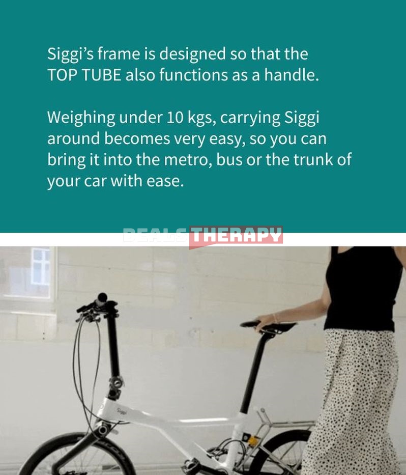 Siggi