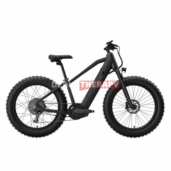 freebeat Morph 2-in-1 eBike- Indoor Fitness x Outdoor Riding