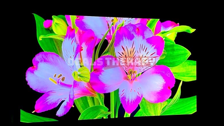 Vidda C3 Pro Review Image Quality