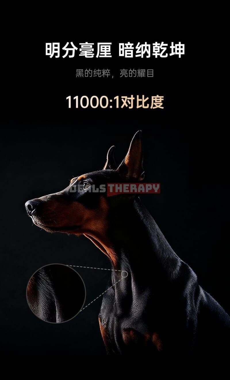 JMGO N5 Ultra Max Deals Therapy