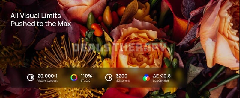 XGIMI HORIZON 20 DealsTherapy