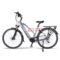 Accolmile BaFang M200 Mid Motor