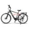 Accolmile BaFang M200 Mid Motor