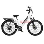 Samebike RS-A01