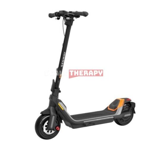 Segway KickScooter P65