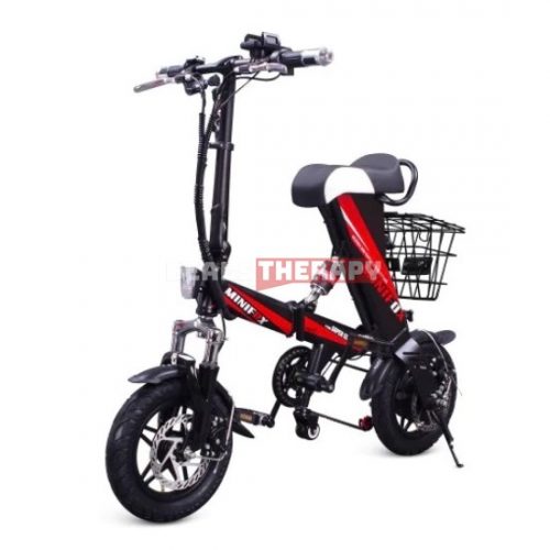 mini fox electric bike